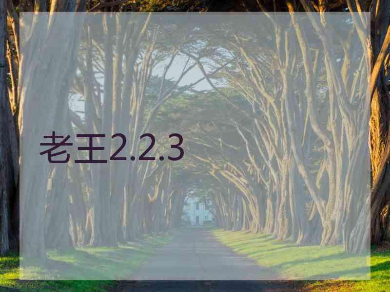 老王2.2.3