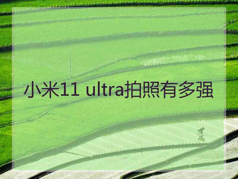 小米11 ultra拍照有多强