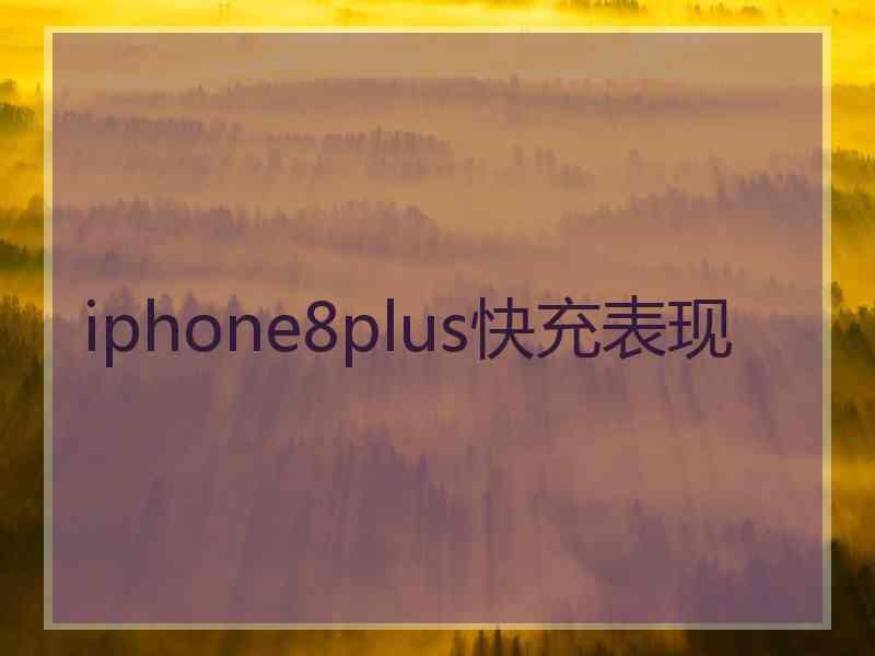 iphone8plus快充表现