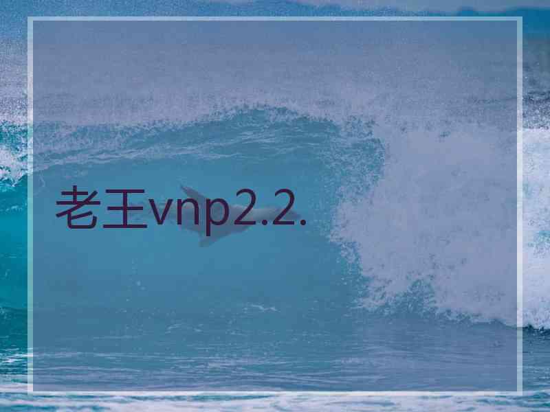 老王vnp2.2.