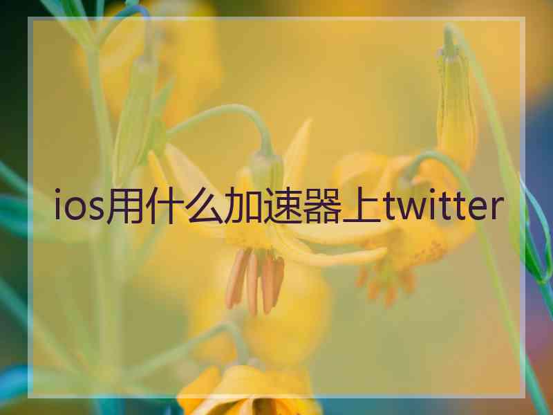 ios用什么加速器上twitter