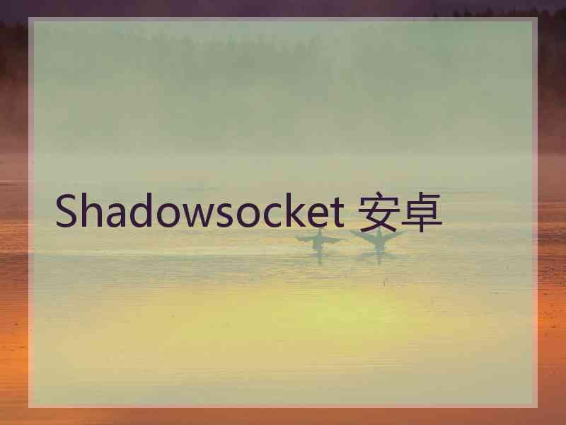 Shadowsocket 安卓