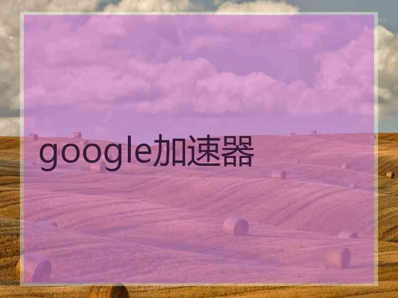 google加速器