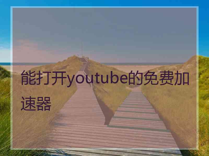 能打开youtube的免费加速器