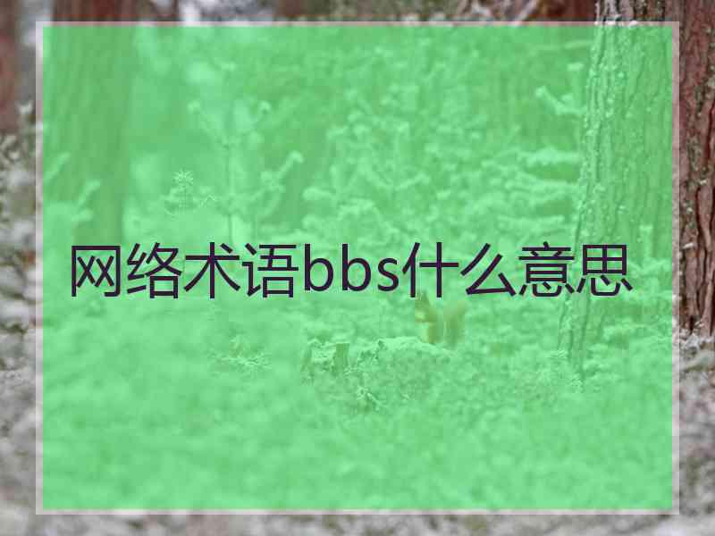 网络术语bbs什么意思