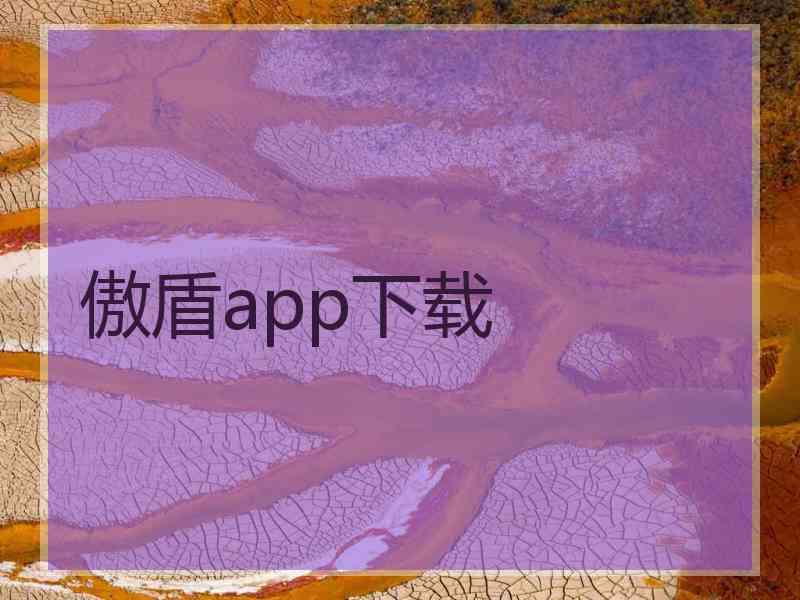 傲盾app下载