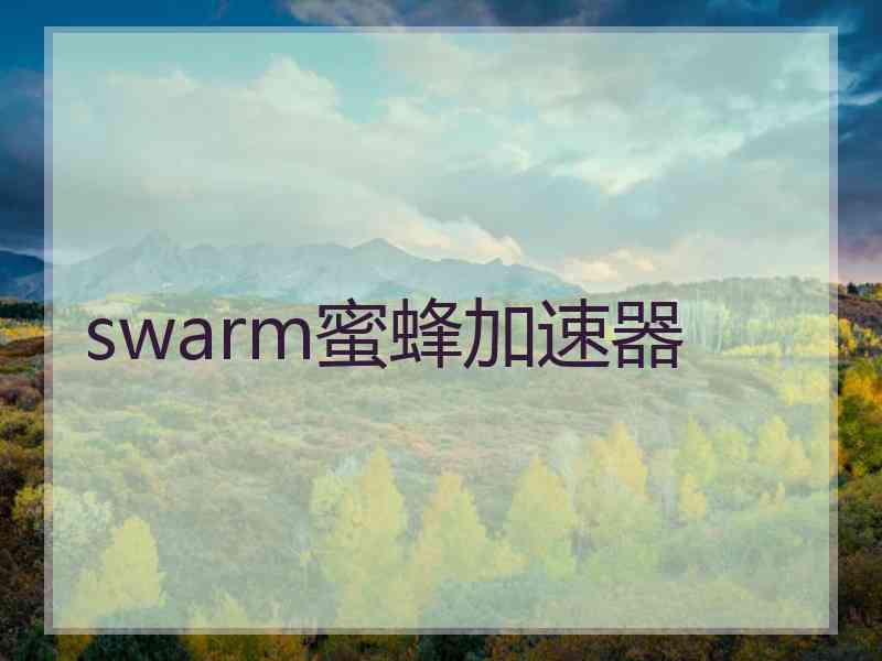 swarm蜜蜂加速器