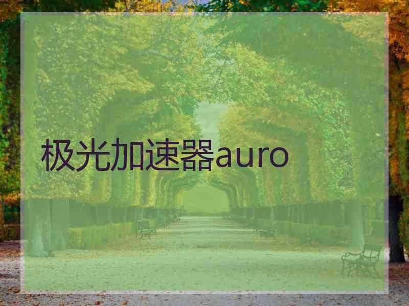 极光加速器auro