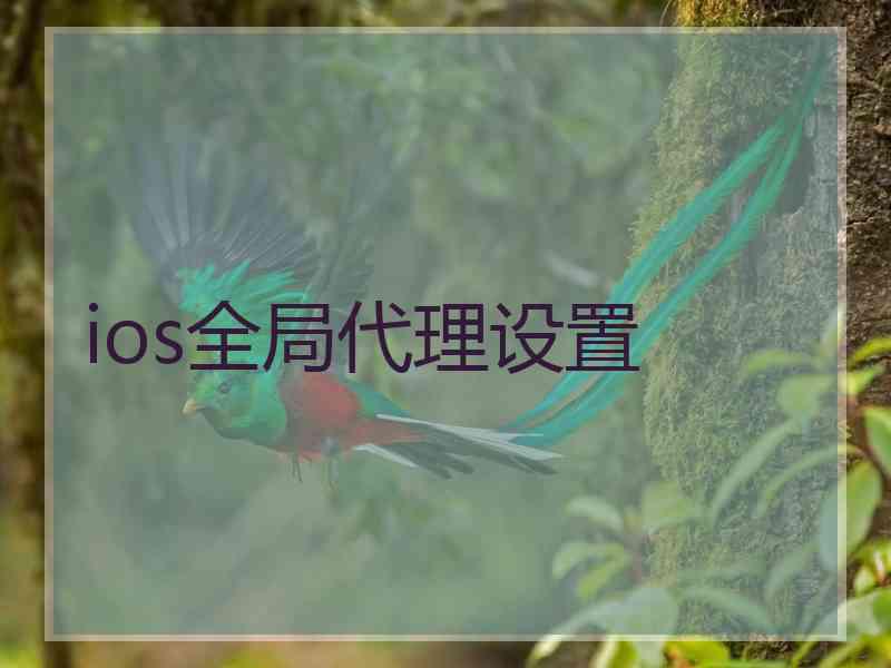 ios全局代理设置