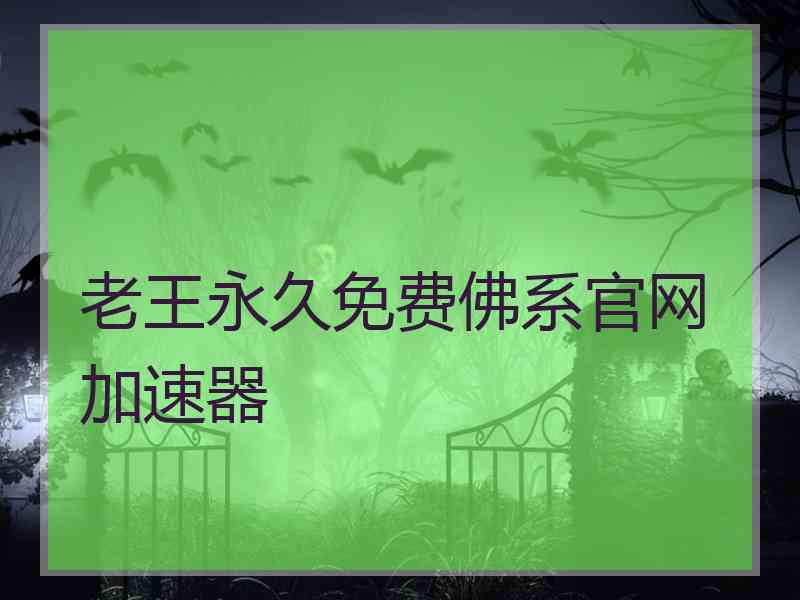 老王永久免费佛系官网加速器