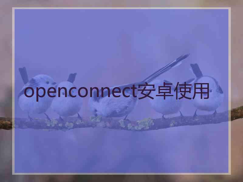 openconnect安卓使用