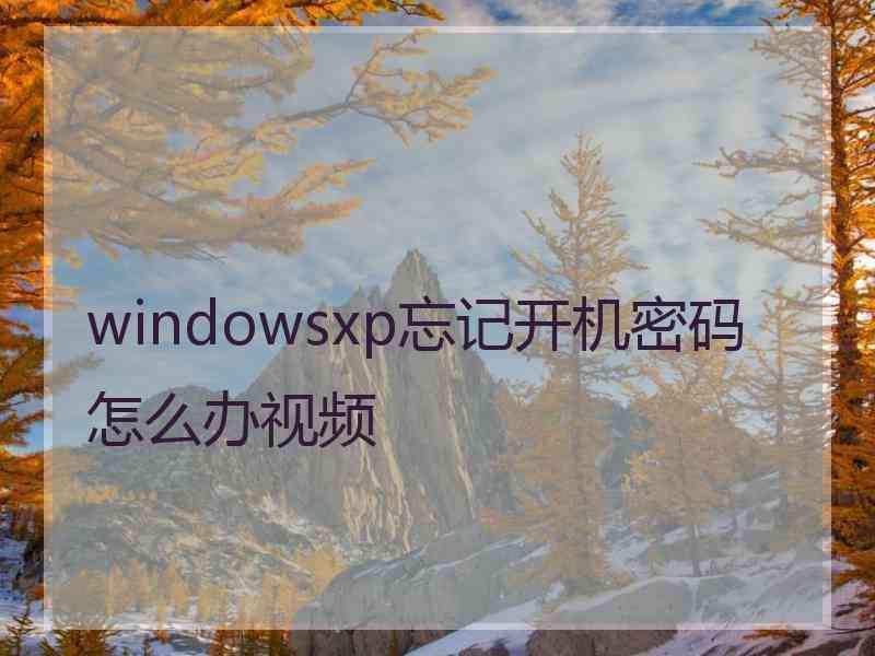 windowsxp忘记开机密码怎么办视频