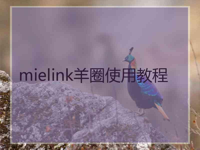 mielink羊圈使用教程