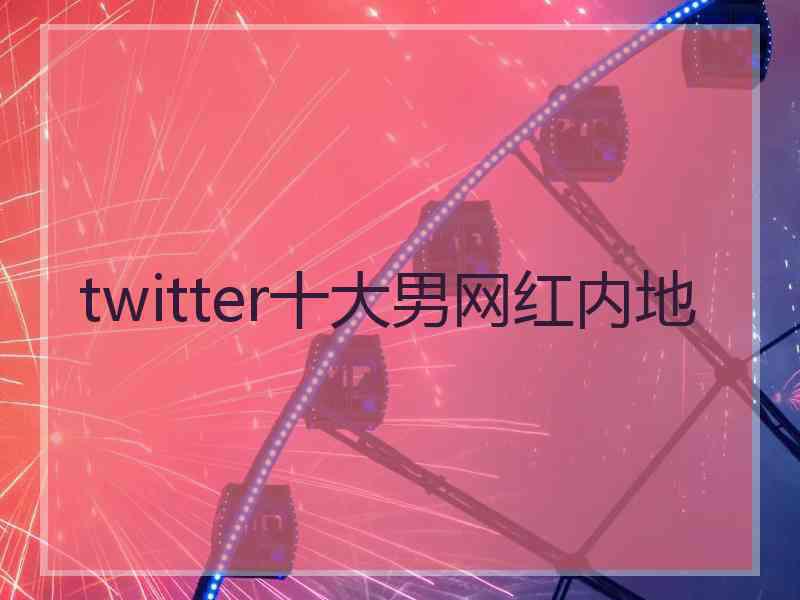 twitter十大男网红内地