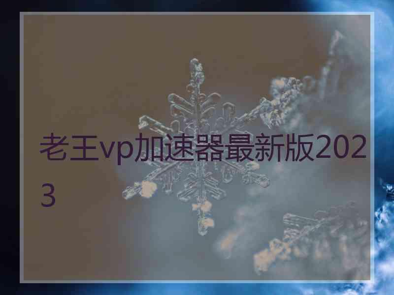 老王vp加速器最新版2023