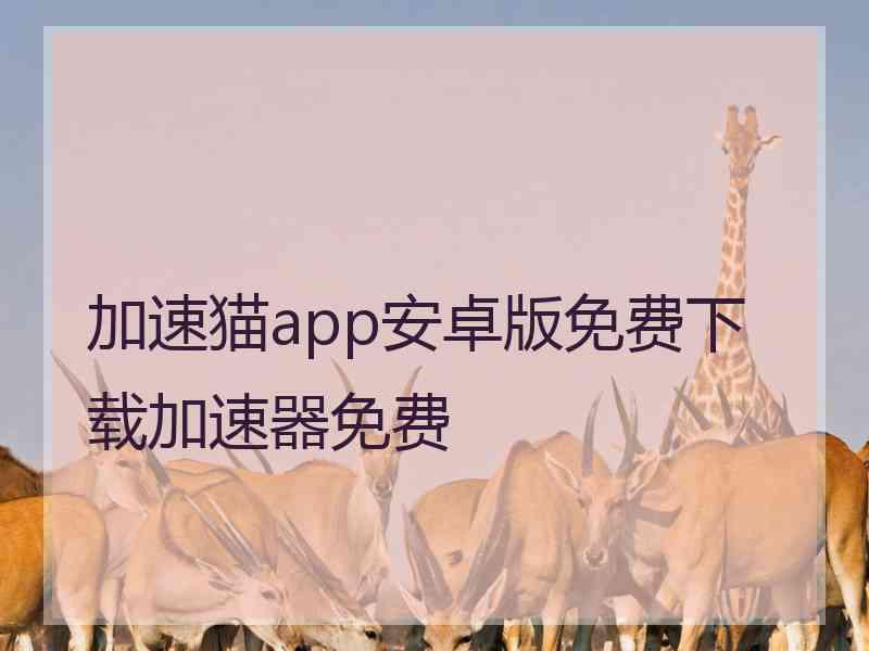 加速猫app安卓版免费下载加速器免费