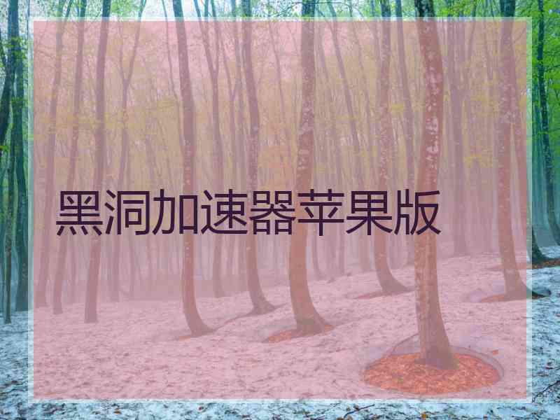 黑洞加速器苹果版