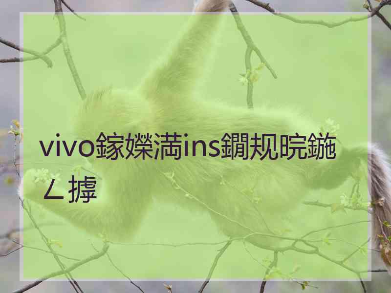 vivo鎵嬫満ins鐗规晥鍦ㄥ摢