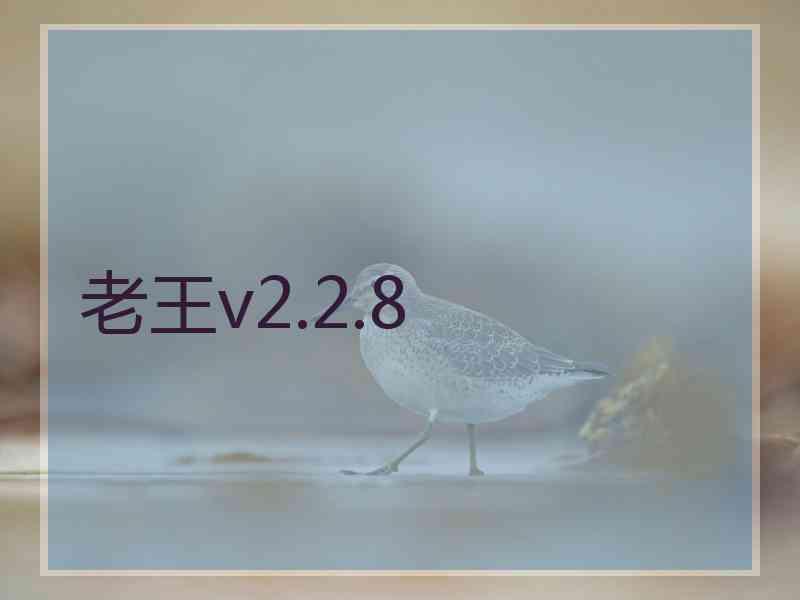 老王v2.2.8