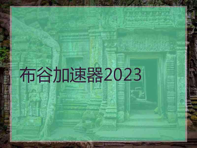 布谷加速器2023