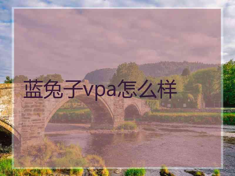 蓝兔子vpa怎么样