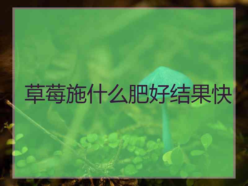 草莓施什么肥好结果快