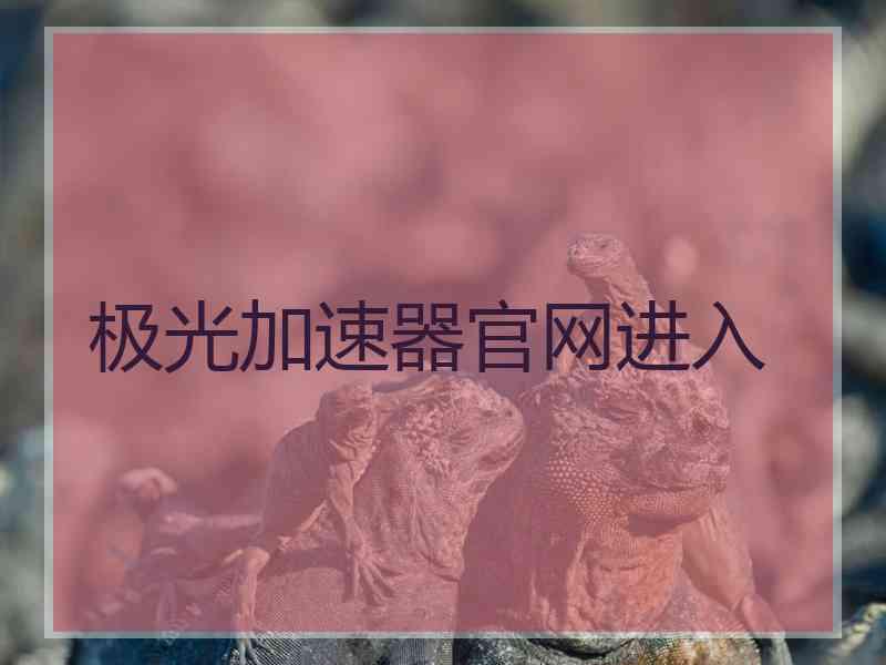 极光加速器官网进入