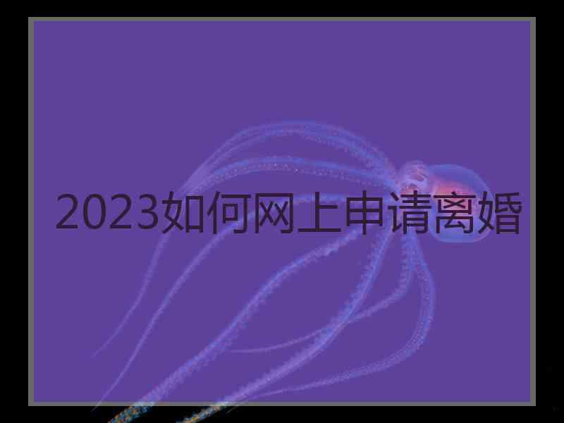 2023如何网上申请离婚