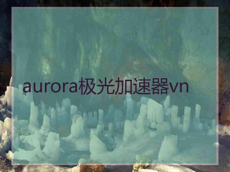 aurora极光加速器vn