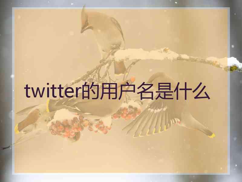 twitter的用户名是什么