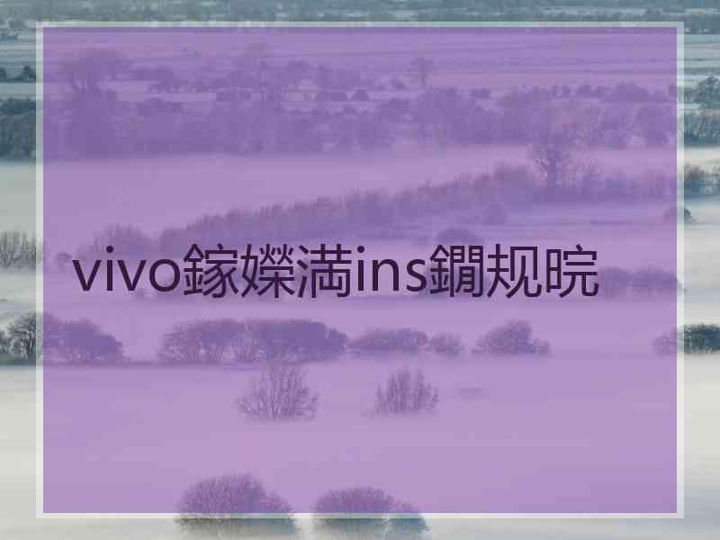 vivo鎵嬫満ins鐗规晥