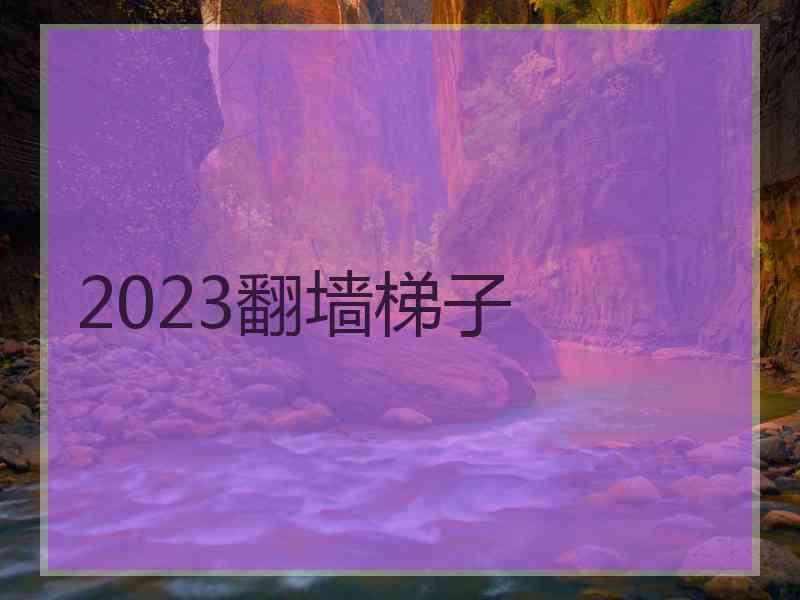 2023翻墙梯子