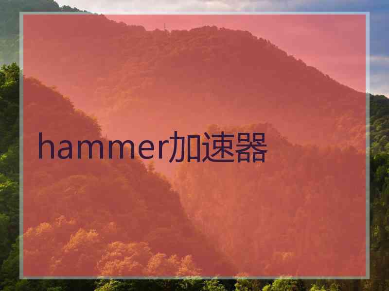 hammer加速器