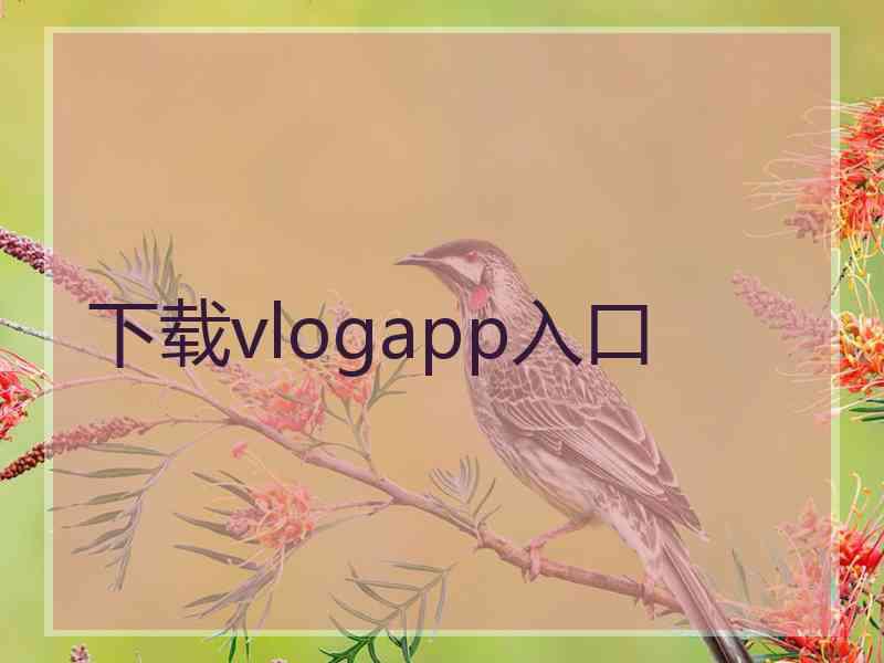 下载vlogapp入口