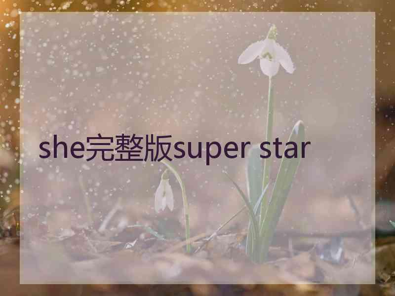 she完整版super star