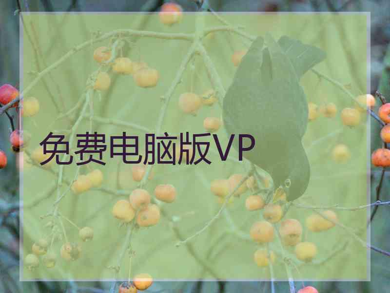 免费电脑版VP