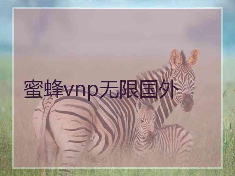 蜜蜂vnp无限国外