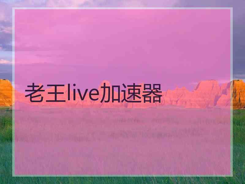 老王live加速器