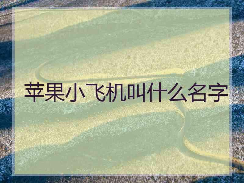 苹果小飞机叫什么名字