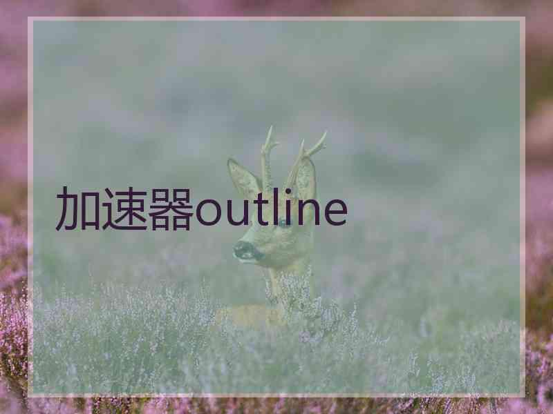 加速器outline