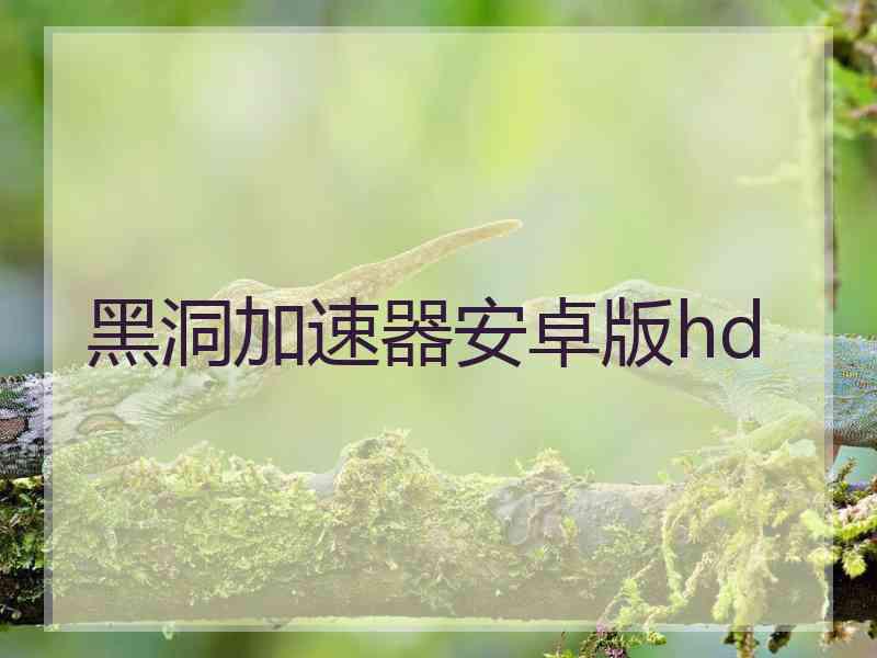 黑洞加速器安卓版hd