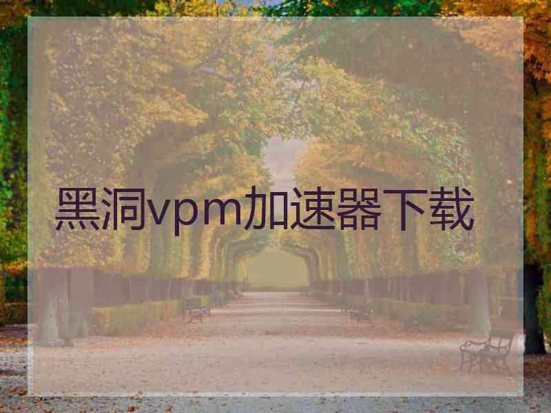 黑洞vpm加速器下载