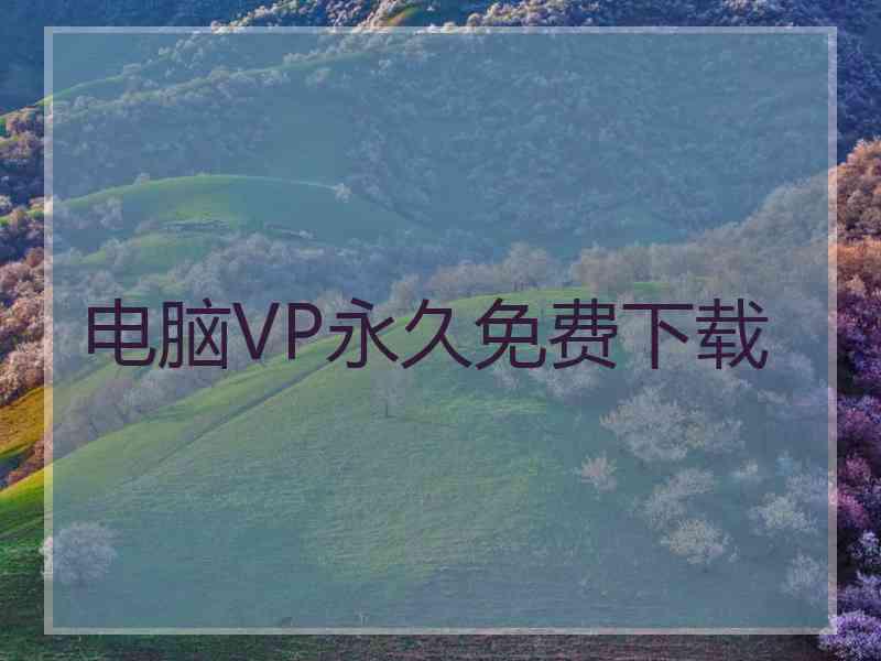 电脑VP永久免费下载