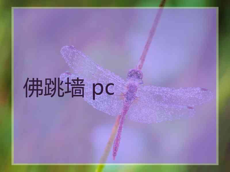 佛跳墙 pc