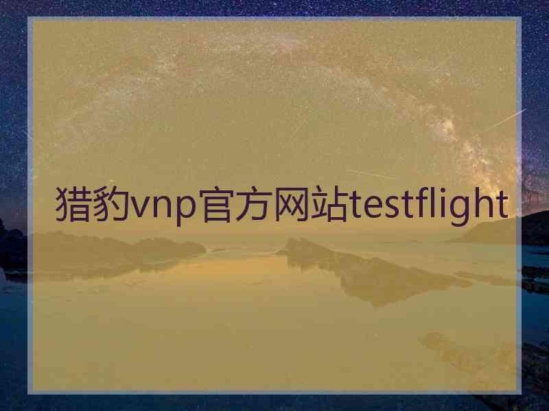 猎豹vnp官方网站testflight