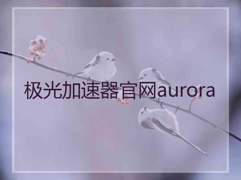 极光加速器官网aurora