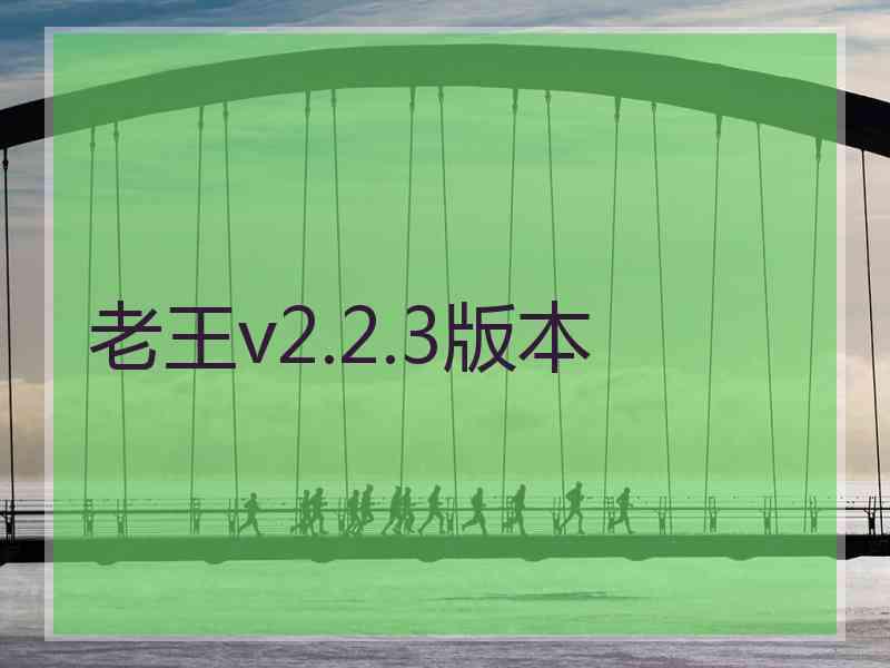 老王v2.2.3版本