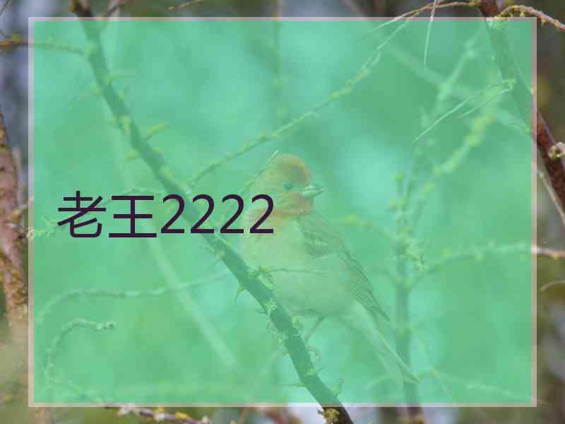 老王2222