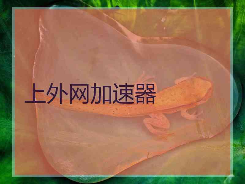 上外网加速器