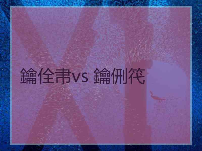 鑰佺帇vs 鑰侀笩